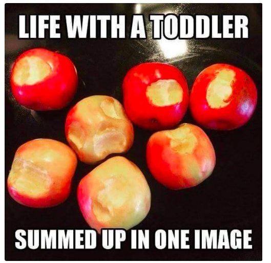 kids meme apples