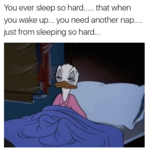 24 Funny Sleep Memes For Sleep Deprived People To Relate To Sittercity