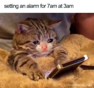 A kitten crying while looking at a cell phone. The caption reads: "setting an alarm for 7am at 3am"