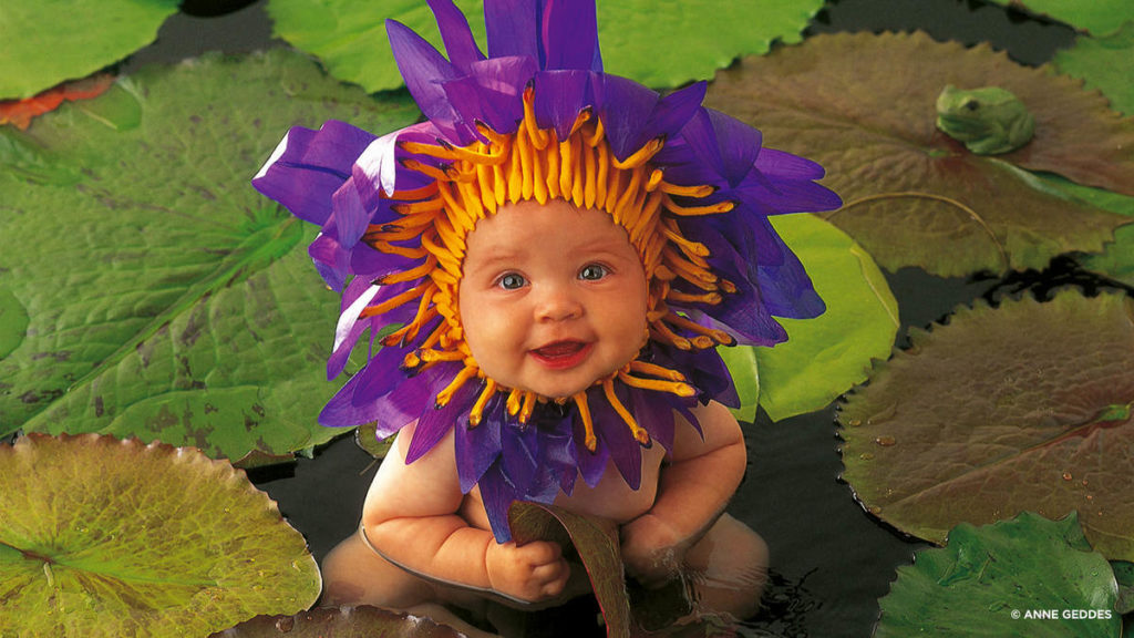 anne geddes photo of a baby with a flower mask on