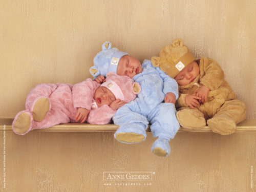 anne geddes photo of babies dressed as bears sitting on a shelf