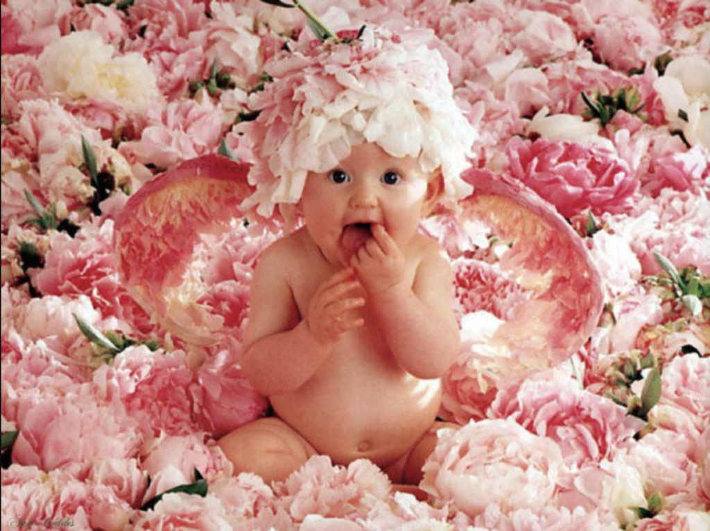anne geddes photo of a baby covered in flower petals