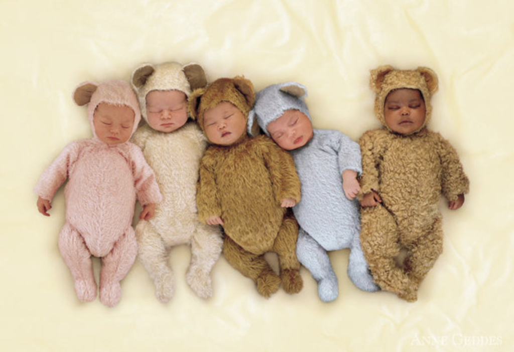 anne geddes photo of babies sleeping dressed as teddy bears