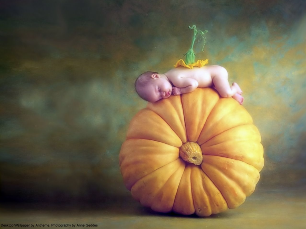 anne geddes photo of a baby sleeping on a pumpkin