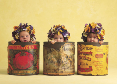 anne geddes photo of babies wearing flower hats inside of tin cans