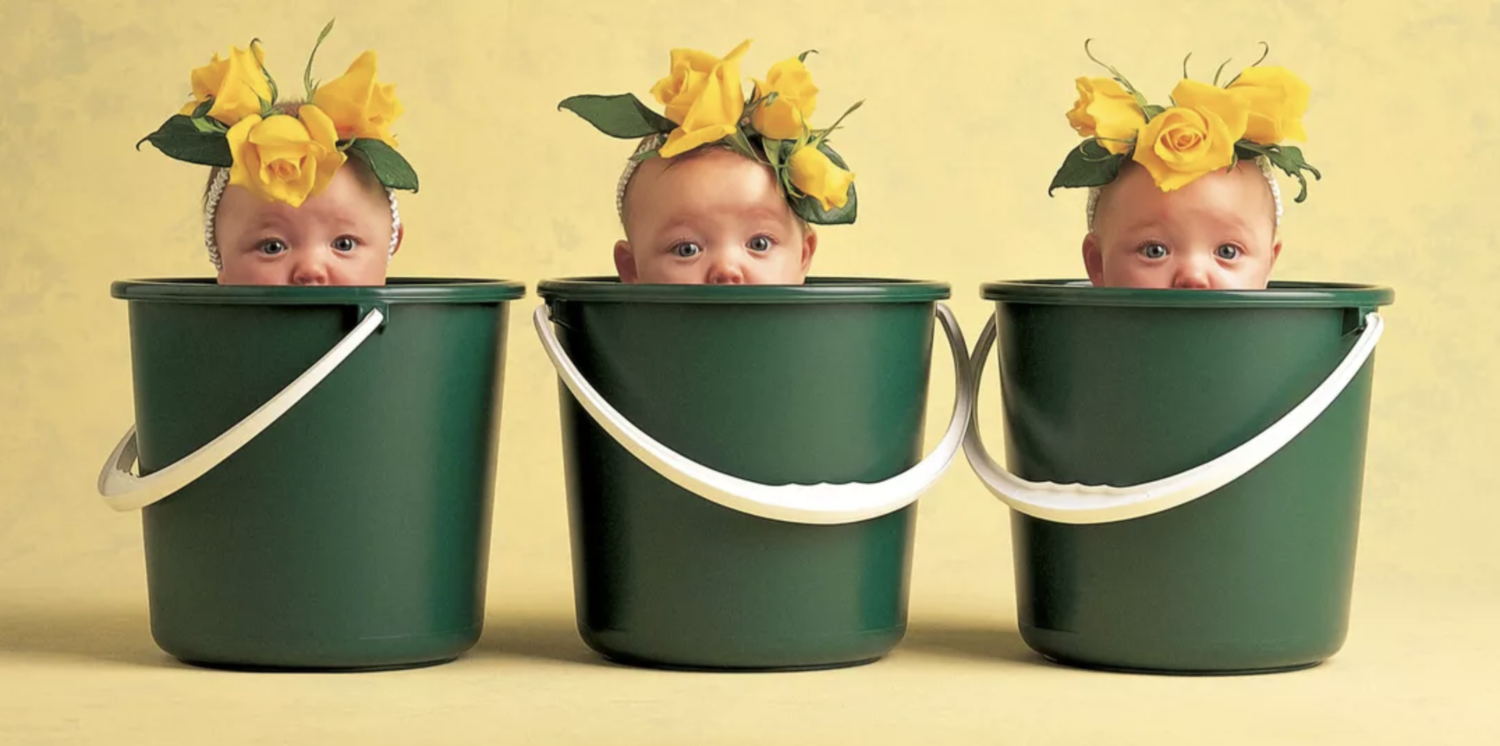 101 Anne Geddes Baby Pictures Just Because Sittercity