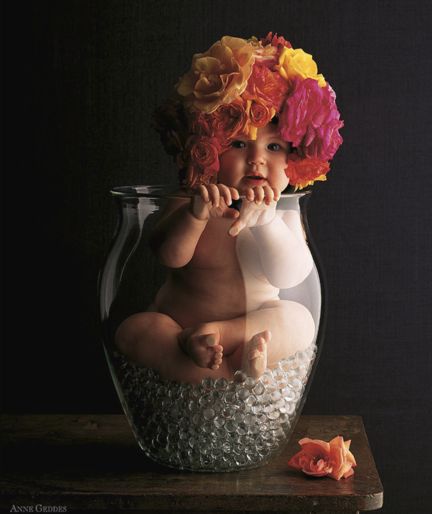 anne geddes photo of a baby with a flower hat on inside of a vase