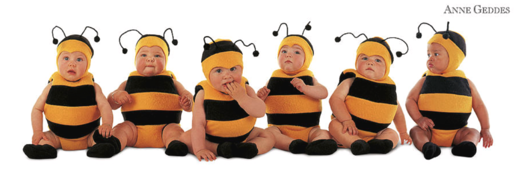anne geddes photo of babies dressed as bumblebees