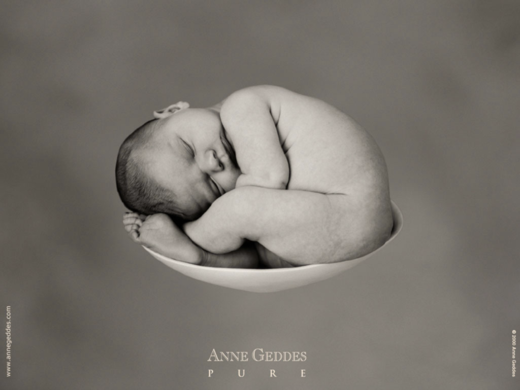 anne geddes photo of a baby curled up inside of a bowl