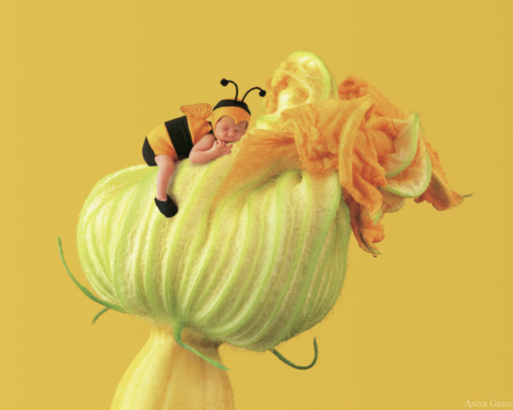 anne geddes photo of a baby dressed as a bumblebee sleeping on a flower