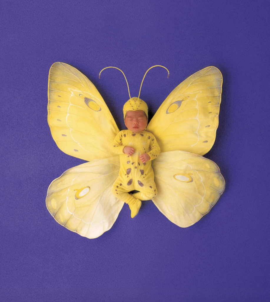 anne geddes photo of a baby dressed up as a butterfly