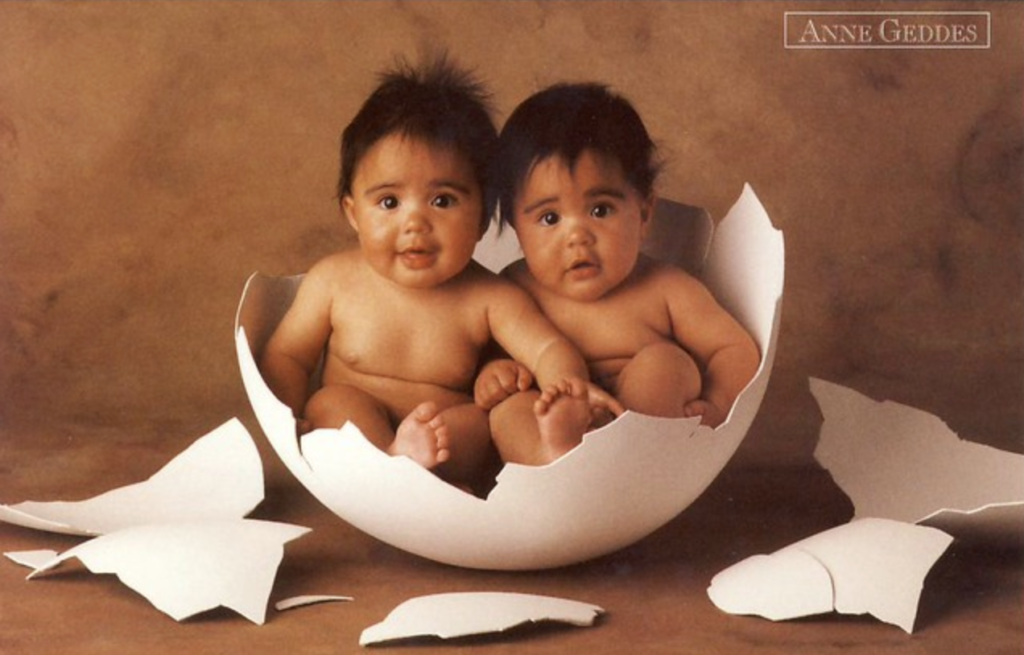 anne geddes photo of two babies inside of an egg shell
