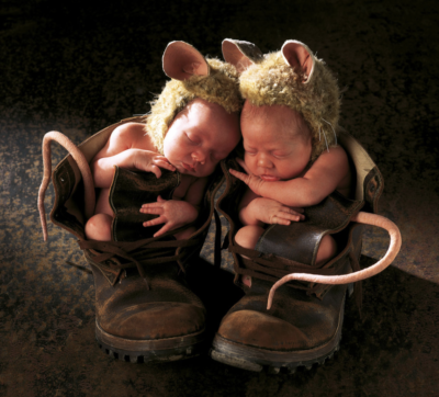 anne geddes photo of two babies dressed as mice napping inside of a boot