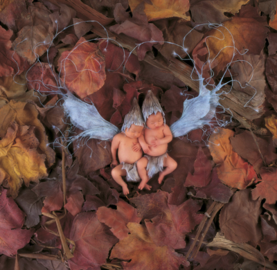 anne geddes photo of two babies with fairy wings sleeping in a pile of leaves