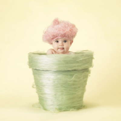 anne geddes photo of a baby inside of a flower pot