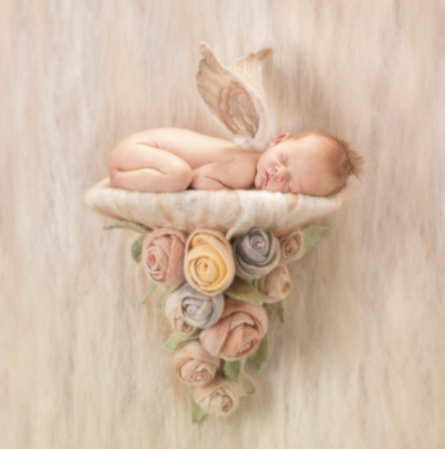 anne geddes photo of a baby with wings on a shelf of flowers