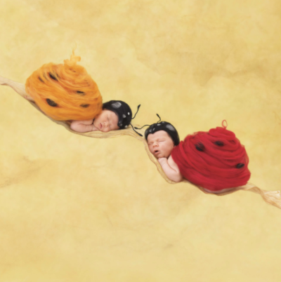 anne geddes photo of two babies dressed up as ladybugs