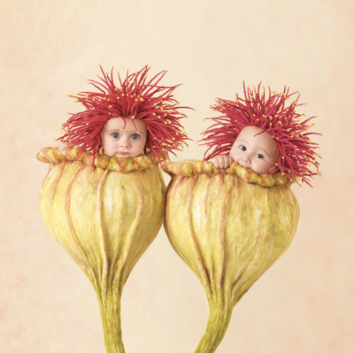anne geddes photo of two babies inside of a blooming flower