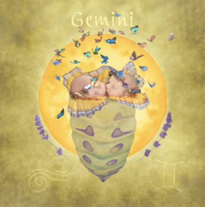 anne geddes photo of two babies inside of a cocoon representing the astrological sign gemini