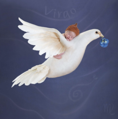 anne geddes photo of a baby sleeping on a dove representing the astrological sign virgo