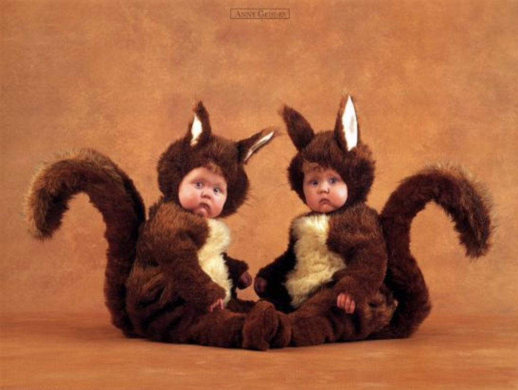 anne geddes photo of two babies dressed as squirrels
