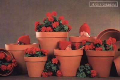 anne geddes photo of babies dressed as flowers in flower pots