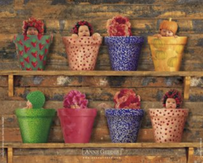 anne geddes photo of babies with flower hats inside of flower pots