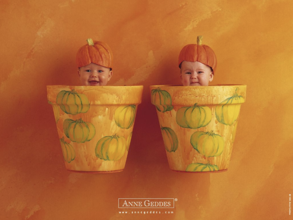 anne geddes photo of babies with pumpkin hats in flower pots
