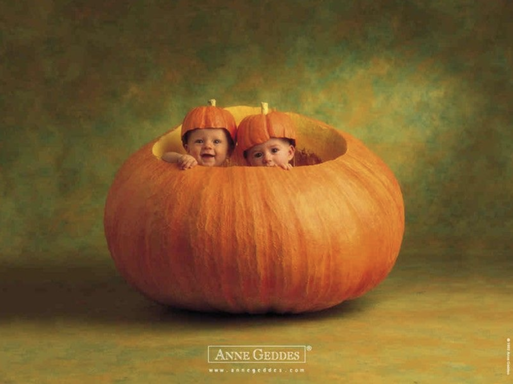 anne geddes photo of two babies inside of a pumpkin