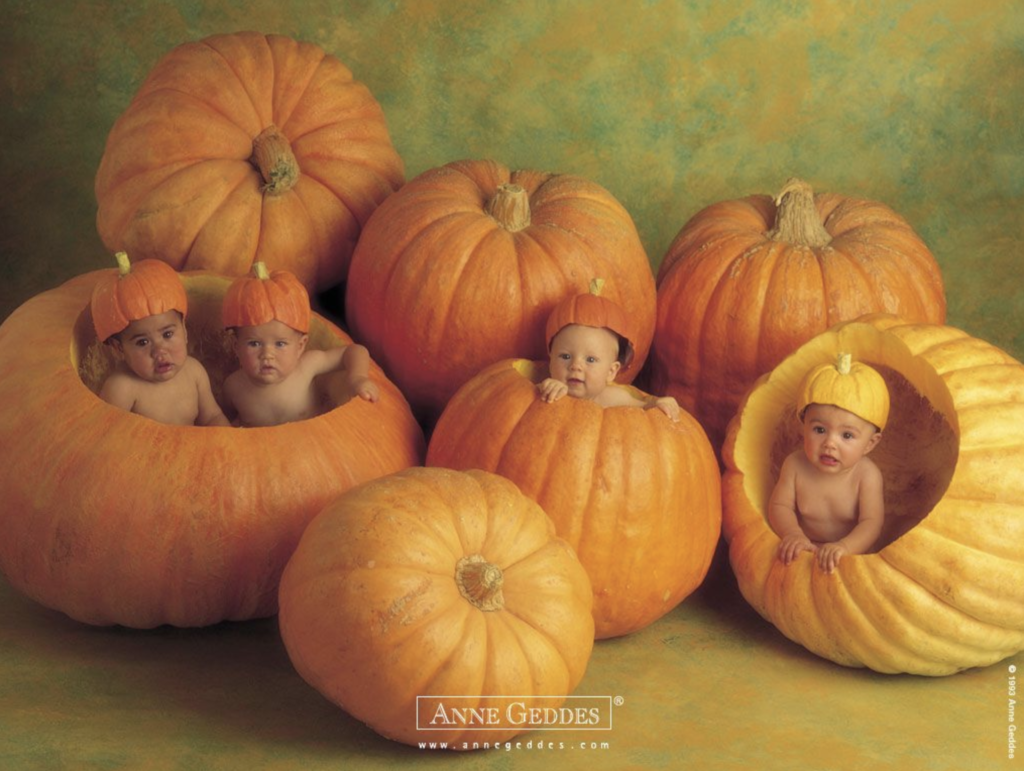 anne geddes photo of babies inside of pumpkins