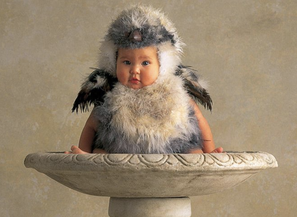 anne geddes photo of a baby in a bird costume in a bird bath