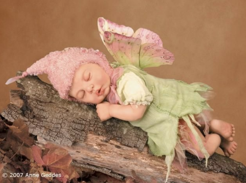 anne geddes photo of a baby dressed as a fairy sleeping on a log