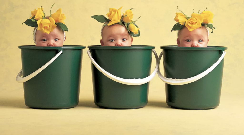 anne geddes photo of three babies with flower headbands and inside buckets