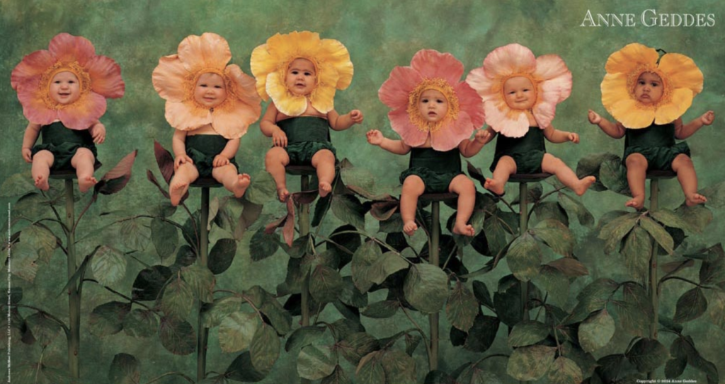 anne geddes photo of babies with flower petals on their heads sitting in a field of leaves