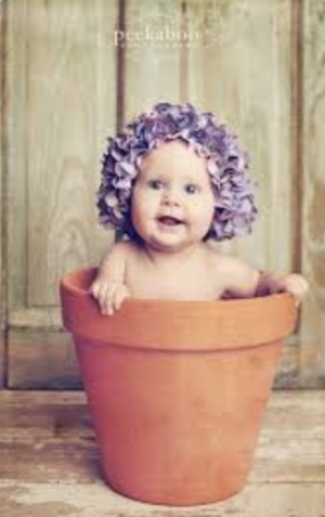 anne geddes photo of a baby inside of a flower pot with a flower hat on