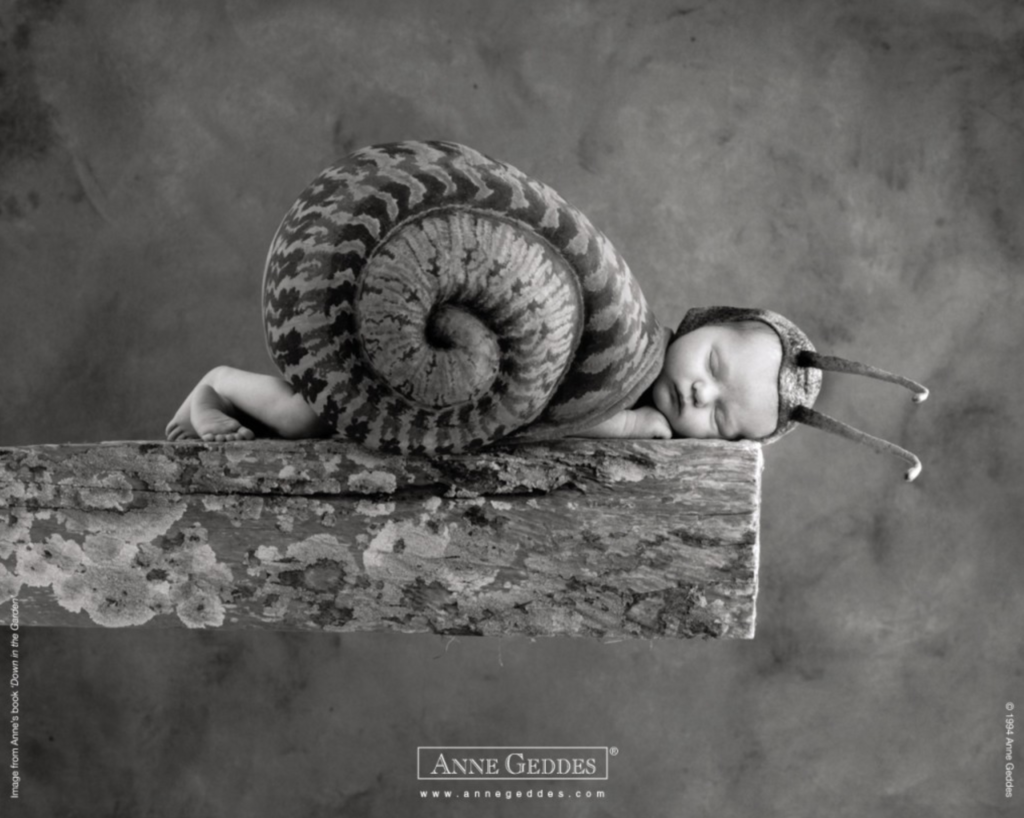 anne geddes photo of a baby dressed as a snail