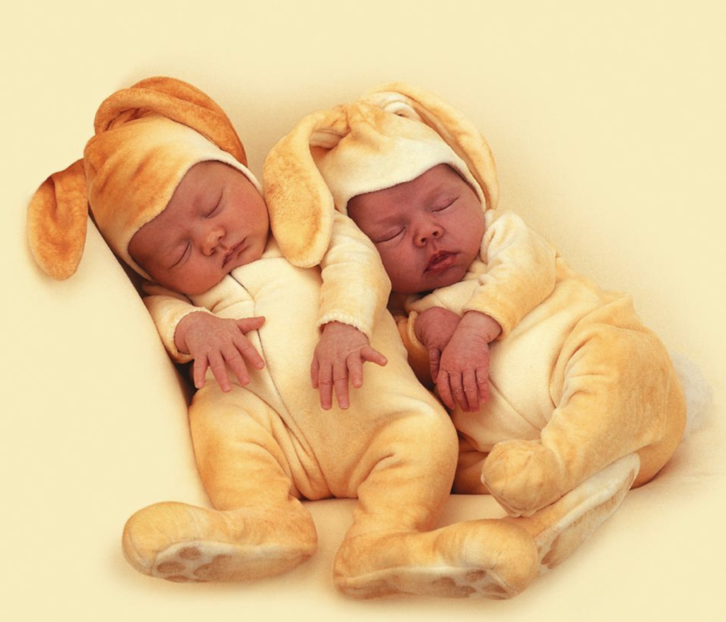 anne geddes photo of two babies dressed in bunny costumes