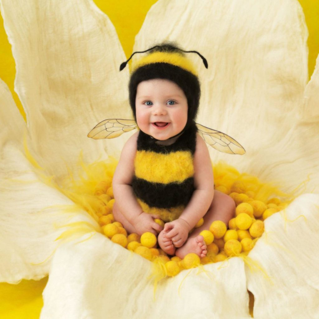 anne geddes photo of a baby dressed as a bumblebee sitting inside of a flower