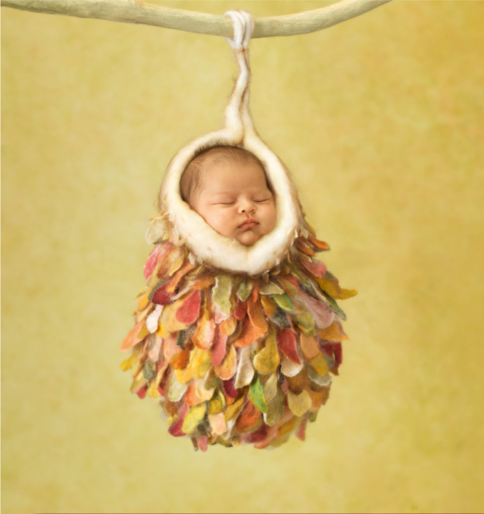 anne geddes photo of a baby wrapped in a cocoon 