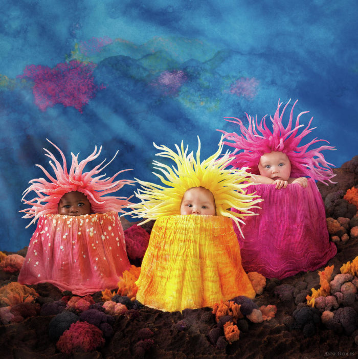 anne geddes photo of three babies with sea anemone hats and costumes 