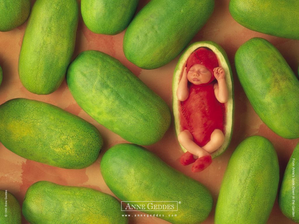 anne geddes photo of a baby inside of a watermelon rind