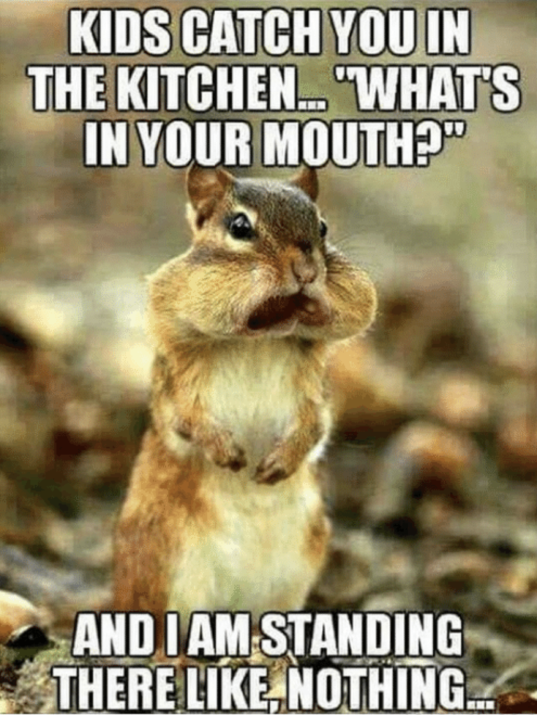 kids catch you in the kitchen..."what's in your mouth?" and im standing there like, nothing... | image: squirrel with stuffed cheeks