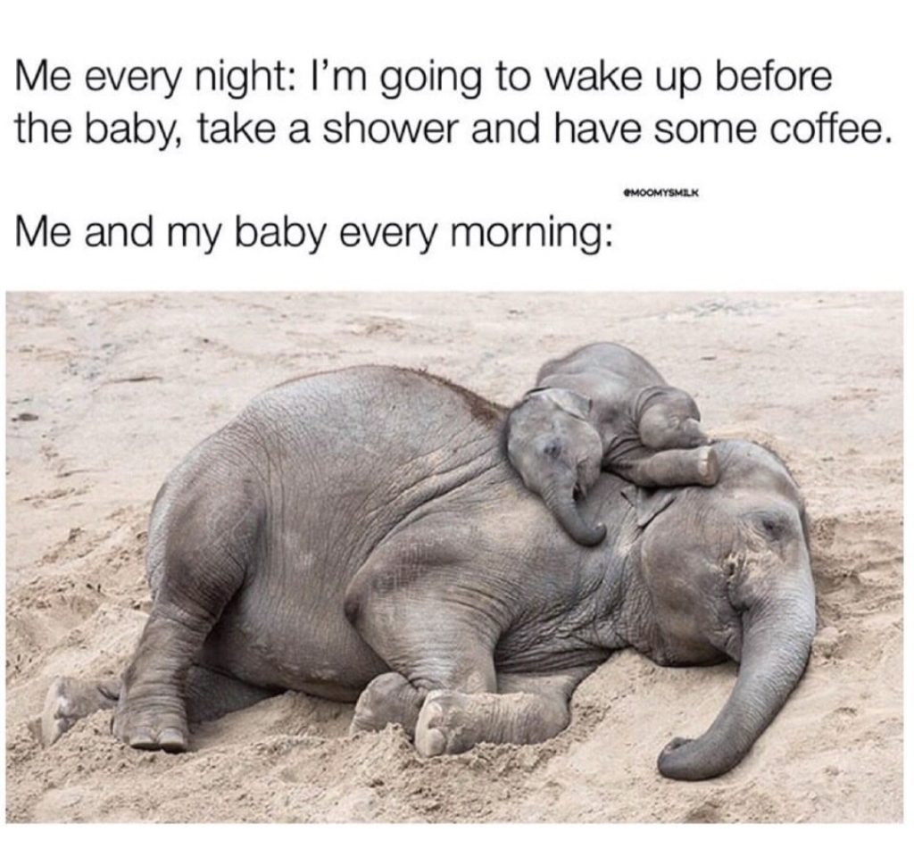 me every night: I'm going to wake up before the baby, take a shower and have some coffee. me and my baby every morning: | image: baby elephant sleeping on top of a mommy elephant