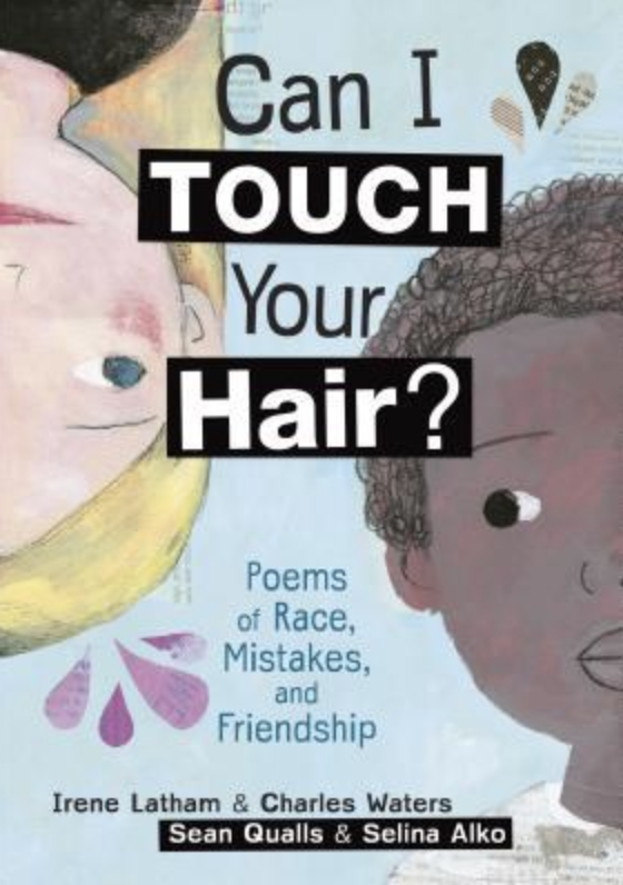 the book cover of Can I Touch Your Hair?