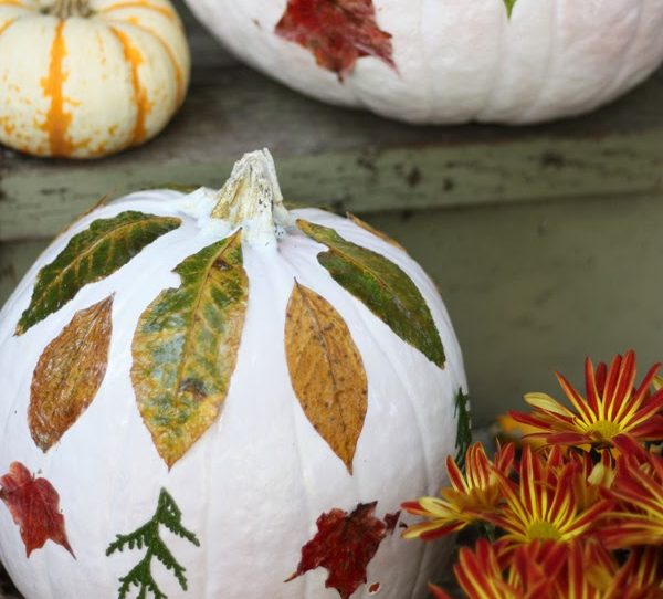 pumpkins covered in leaves