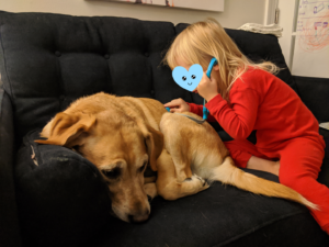 A young girl uses a toy stethoscope on her dog at home.