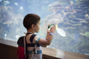 Little boy taking a snapshot of the fish in an aquarium