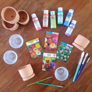 Mini Greenhouse Craft Supplies