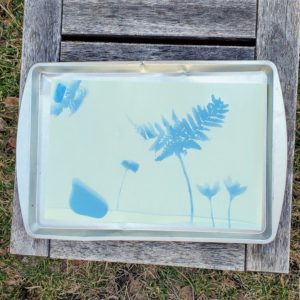 Kids craft sun prints