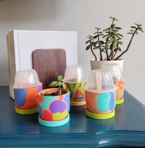 Painted terra cotta pots with plants growing inside